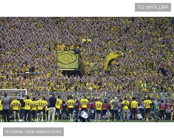 多特蒙德主场龙本色尽显 欧冠晋级形势大好